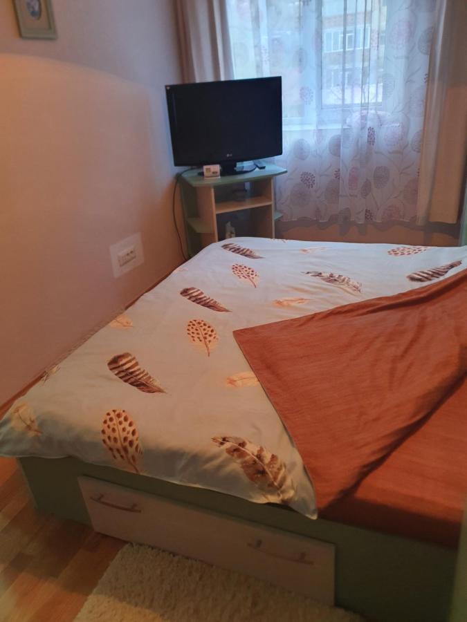 Apartament Cu Trei Camere 바일레헤르쿨라네 외부 사진